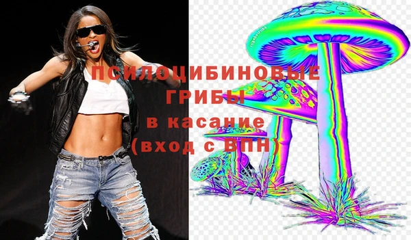 гидропоника Богданович