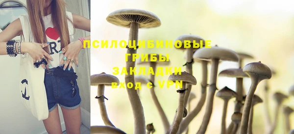 гидропоника Богданович