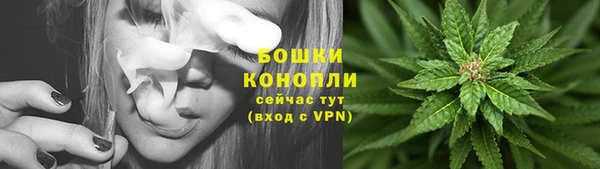 гидропоника Богданович