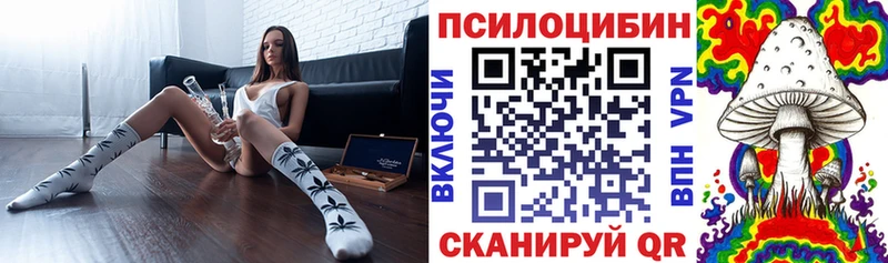 Галлюциногенные грибы Cubensis  Онега 